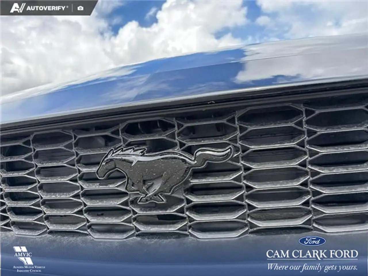 Ford Mustang fotografie Ford Mustang