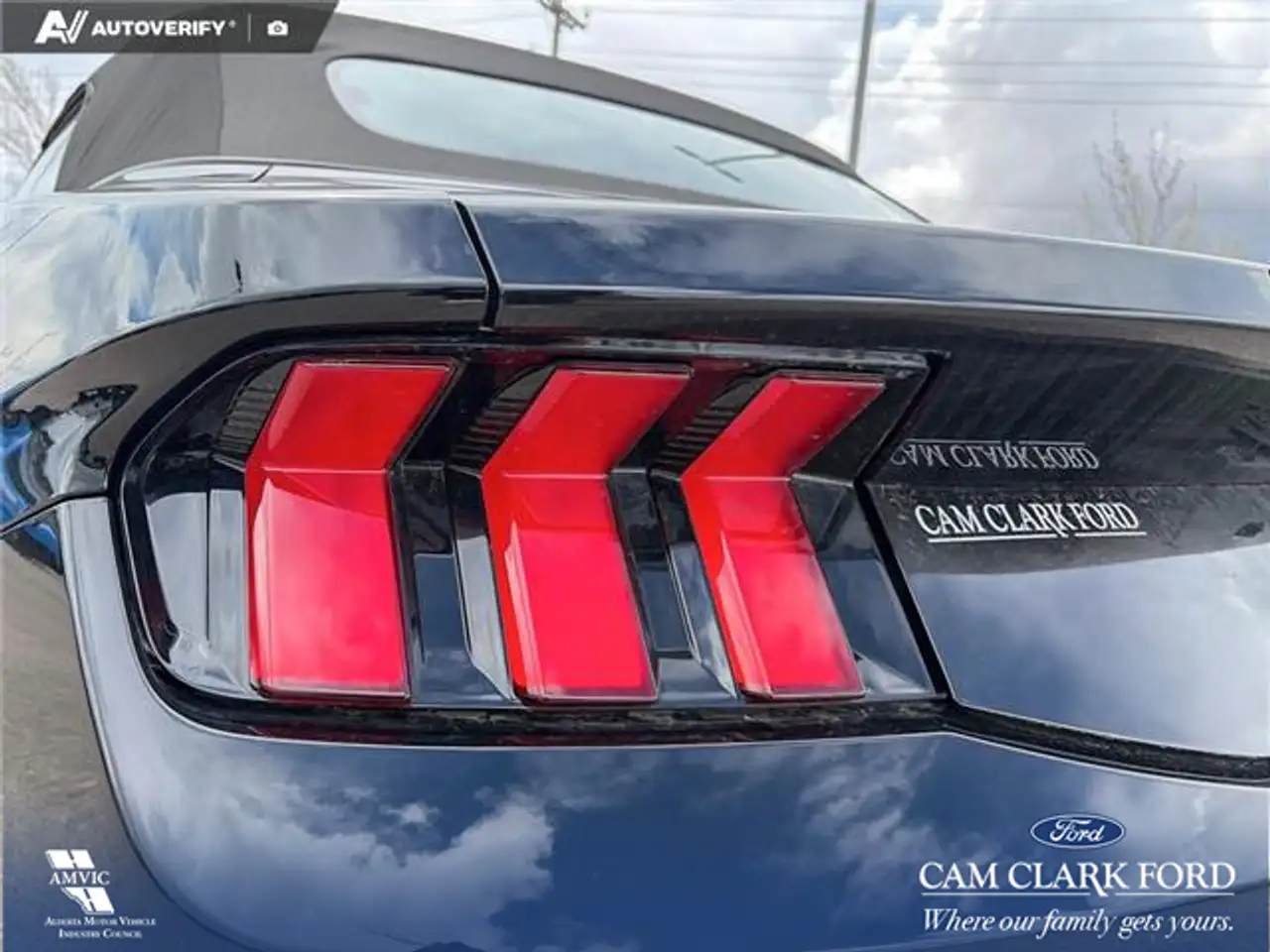 Ford Mustang fotografie Ford Mustang
