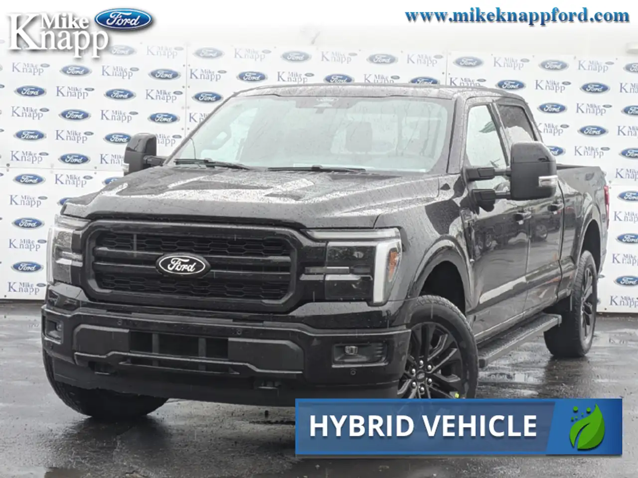 2026 Ford F 150
