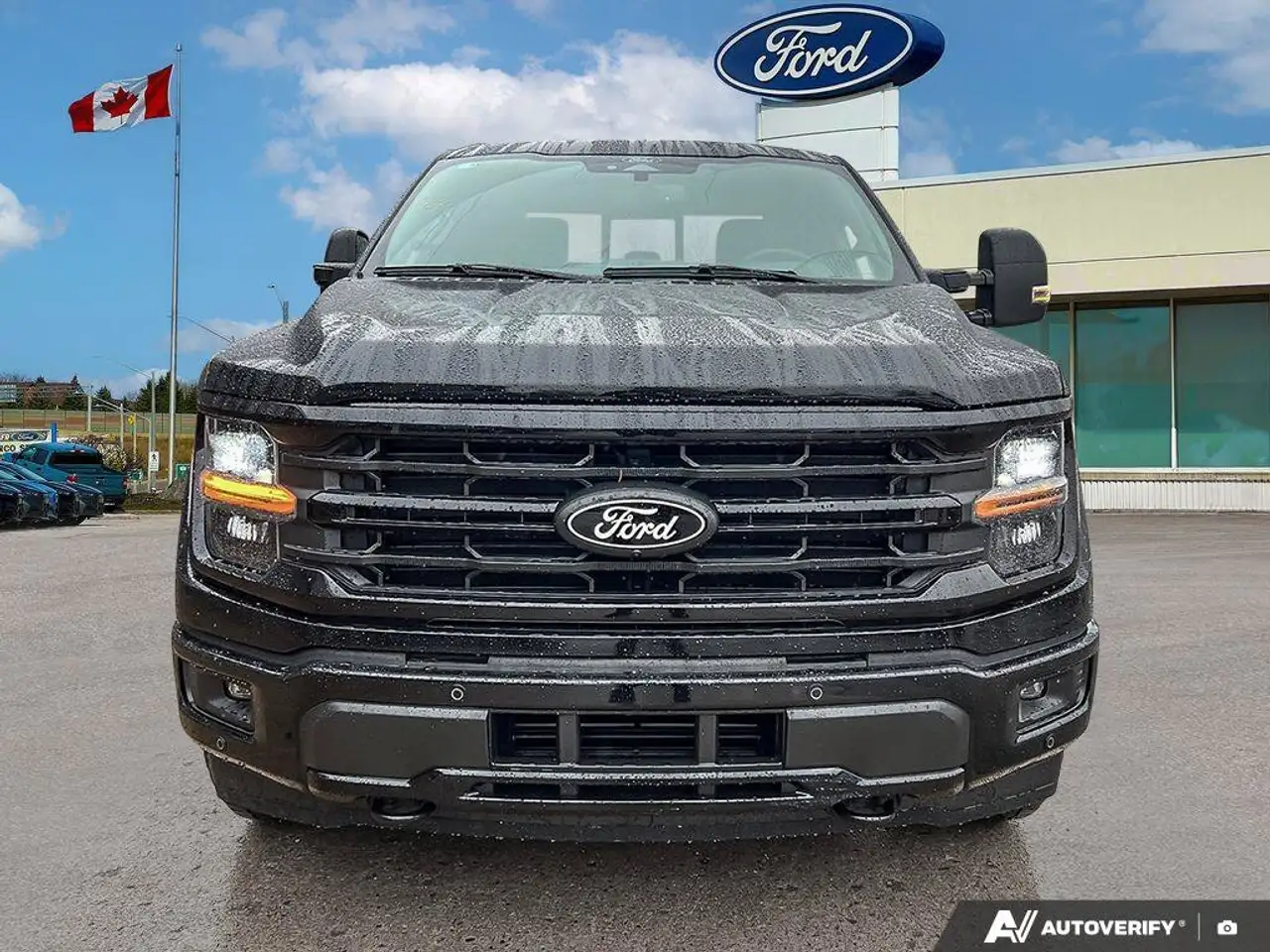 Ford F 150 photo Ford F 150