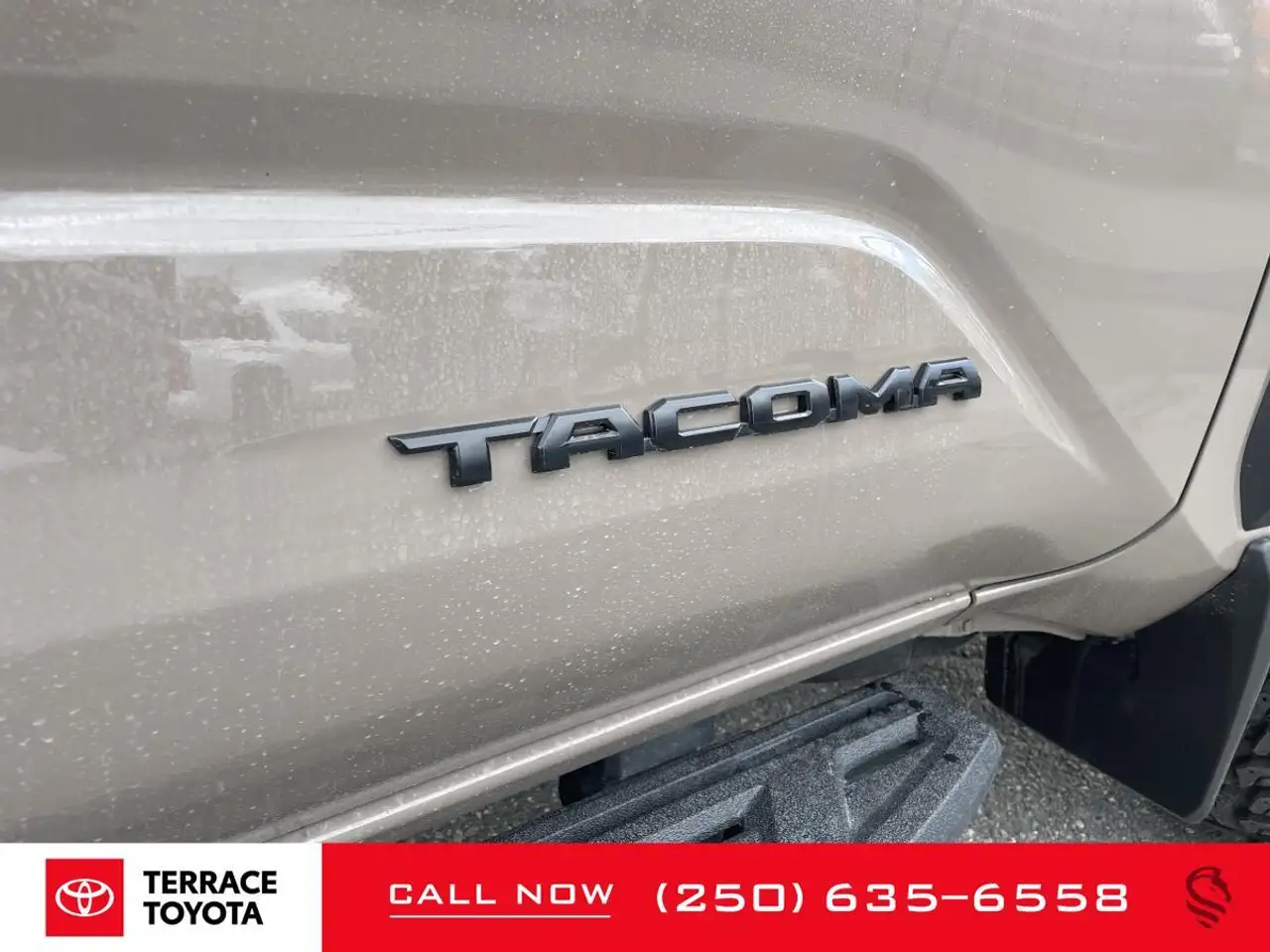 Toyota Tacoma снимка Toyota Tacoma