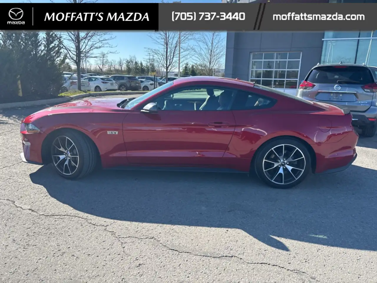 Ford Mustang fotografie Ford Mustang