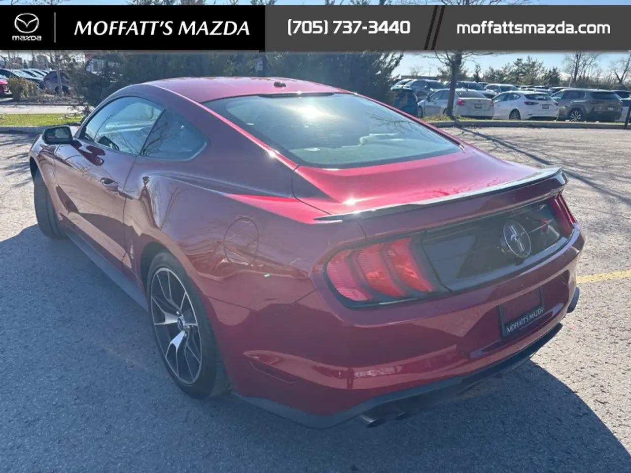 Ford Mustang fotografie Ford Mustang