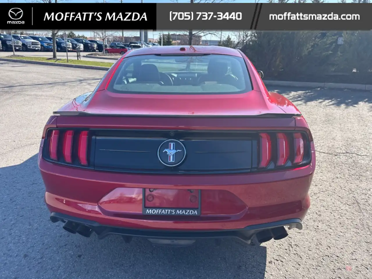 Ford Mustang fotografie Ford Mustang