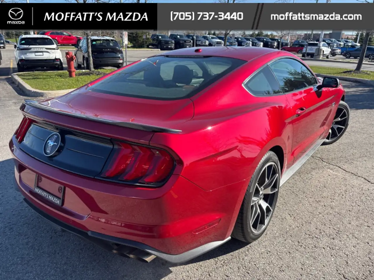 Ford Mustang fotografie Ford Mustang