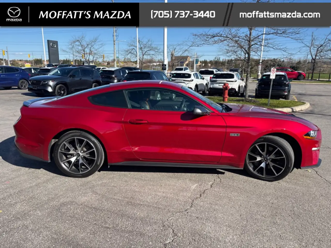 Ford Mustang fotografie Ford Mustang