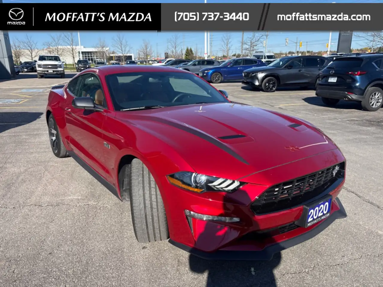 Ford Mustang fotografie Ford Mustang