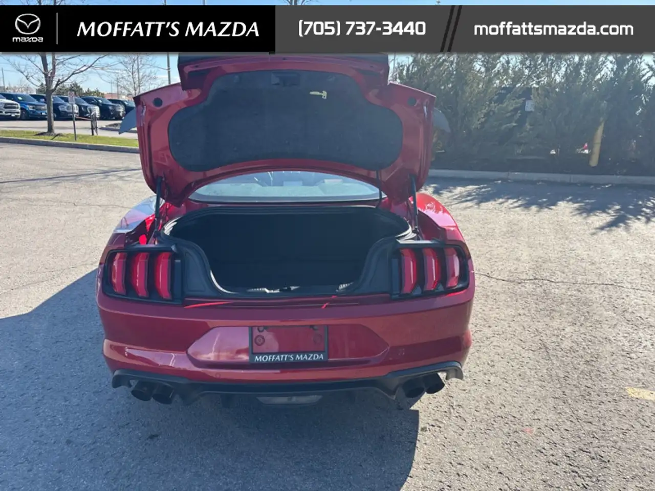 Ford Mustang fotografie Ford Mustang