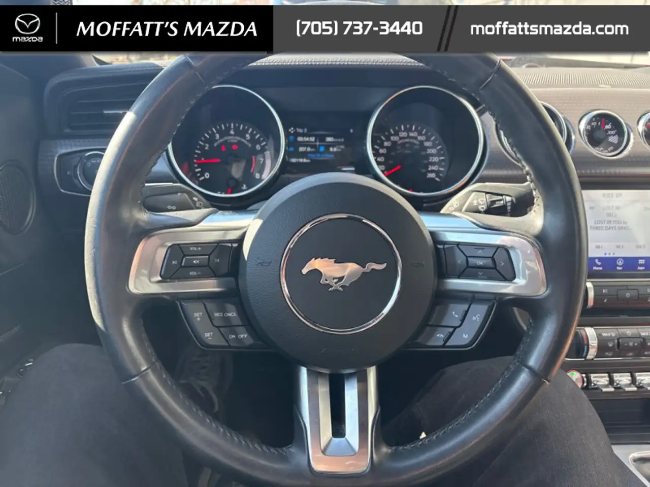 Ford Mustang fotografie Ford Mustang