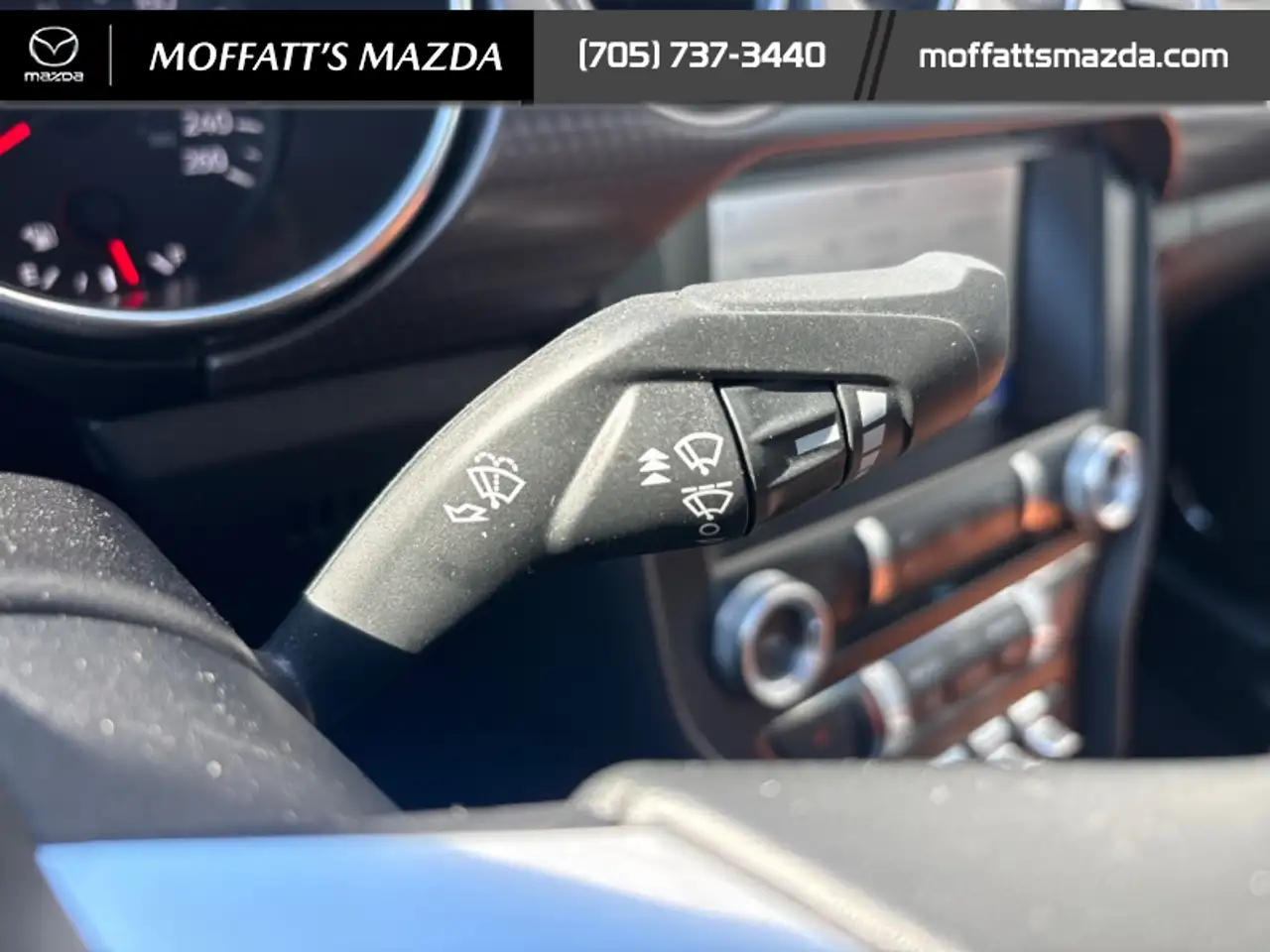 Ford Mustang fotografie Ford Mustang