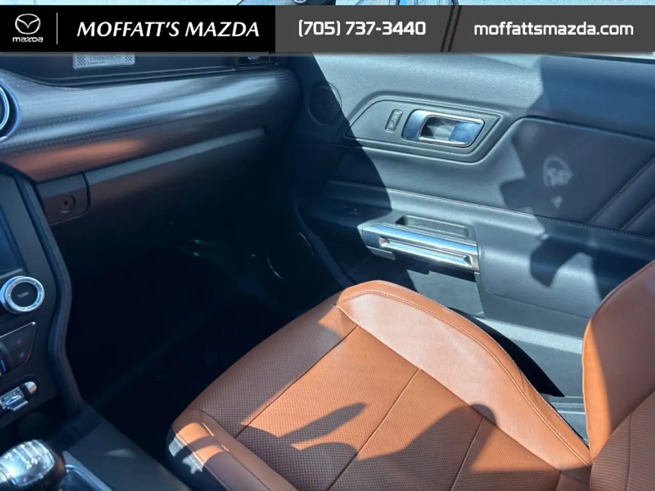 Ford Mustang fotografie Ford Mustang