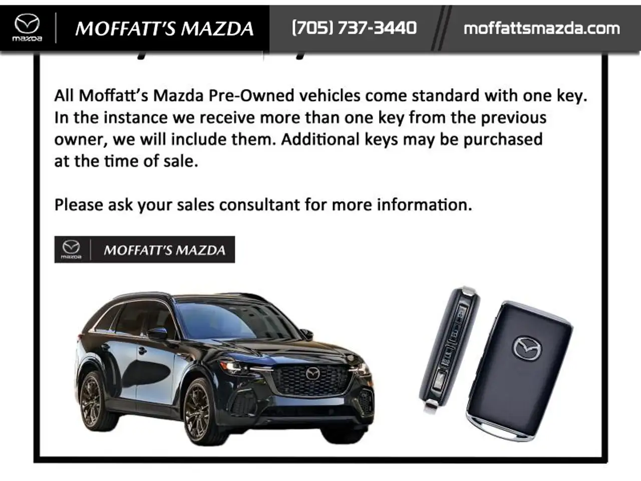 Ford Mustang fotografie Ford Mustang