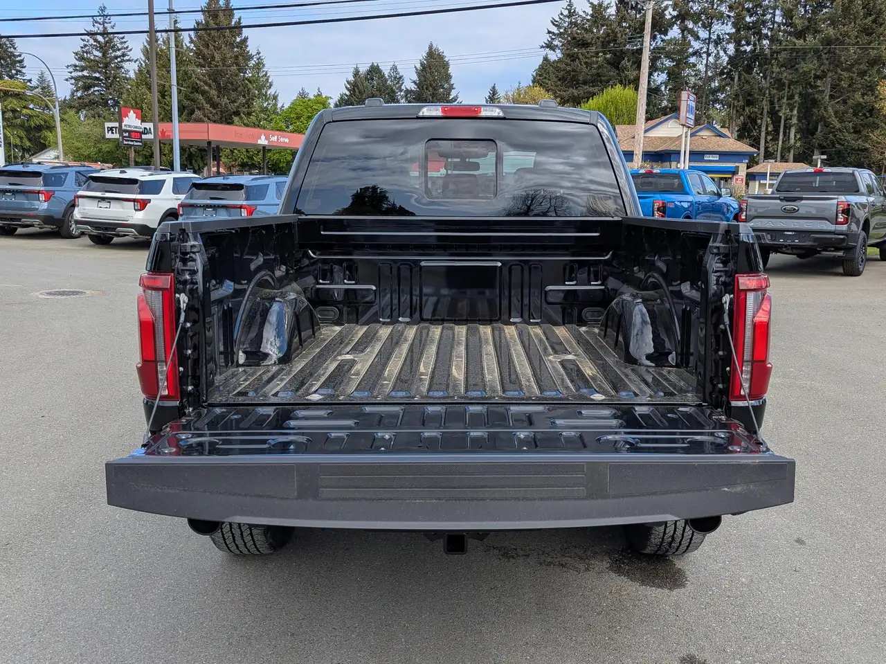 Ford F 150 fotografie Ford F 150