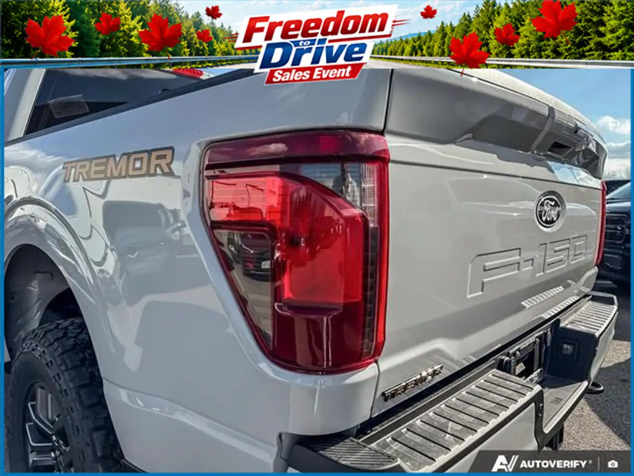 Ford F 150 photo Ford F 150