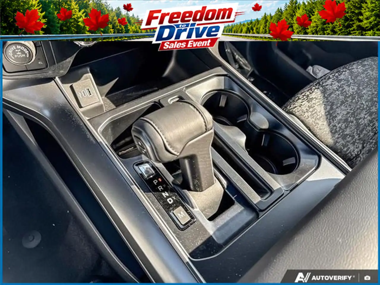 Ford F 150 photo Ford F 150
