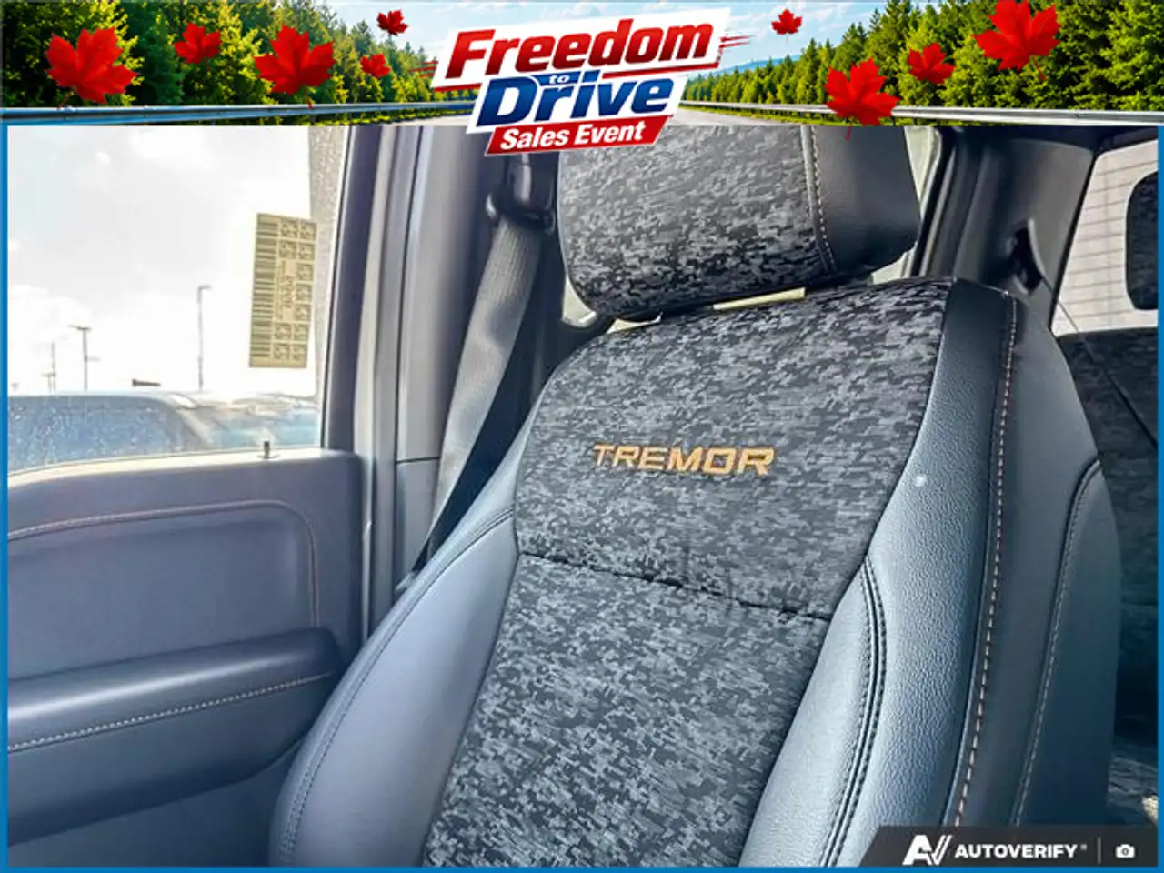 Ford F 150 photo Ford F 150