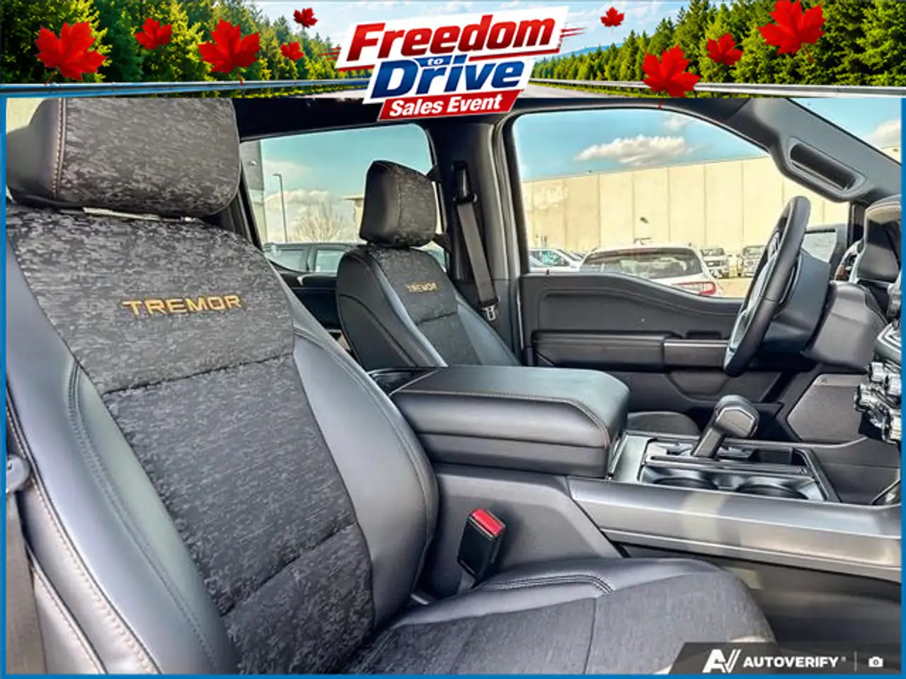 Ford F 150 photo Ford F 150