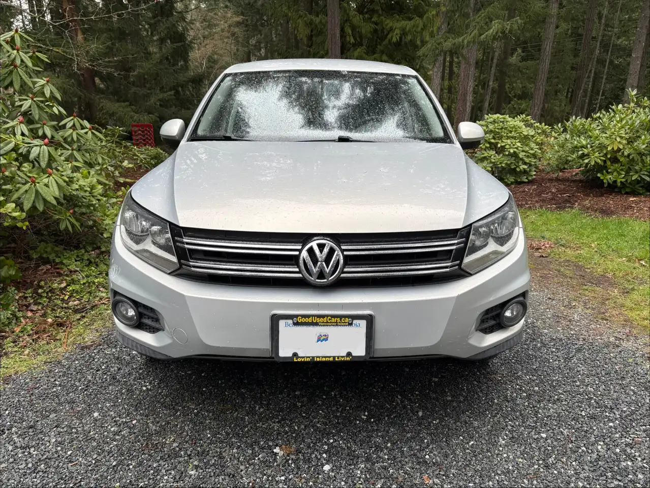 Volkswagen Tiguan fotografie Volkswagen Tiguan