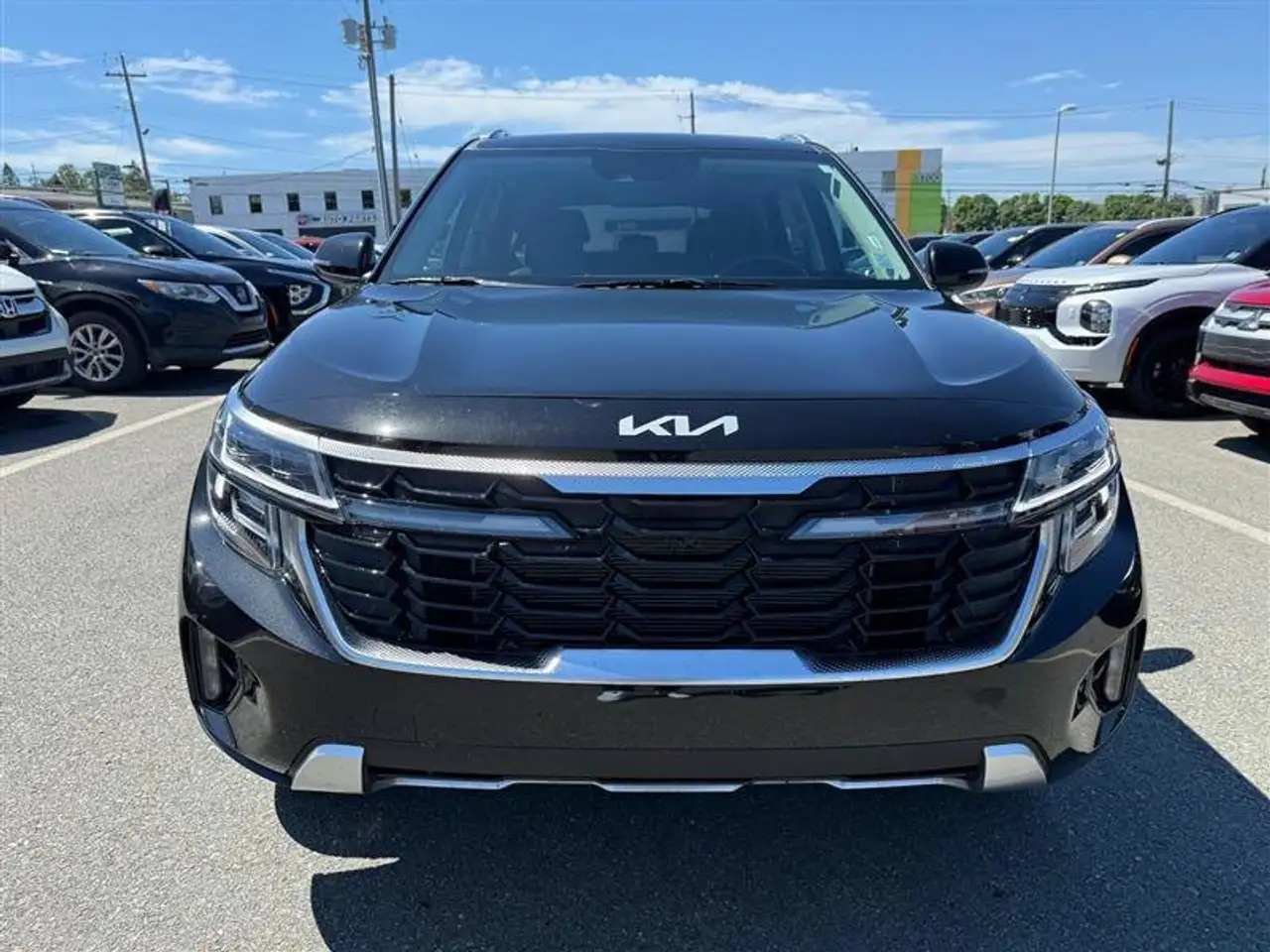 Kia Seltos fotografie Kia Seltos