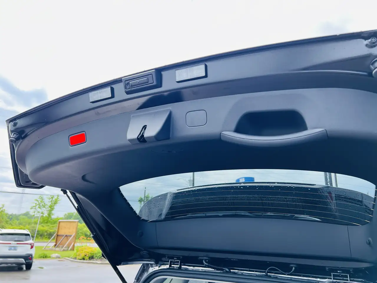 Kia Seltos fotografie Kia Seltos