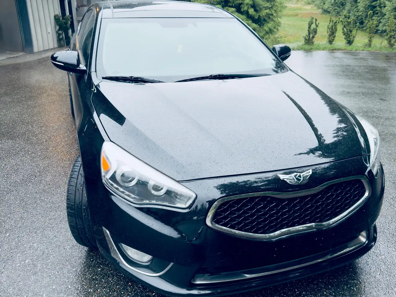 2014 Kia Cadenza