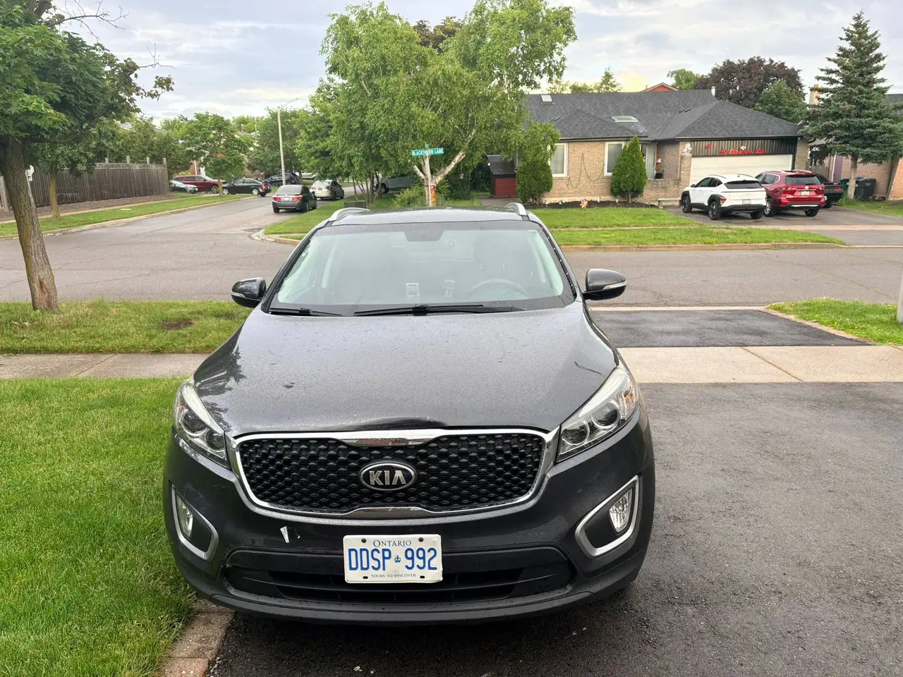 2017 Kia Sorento