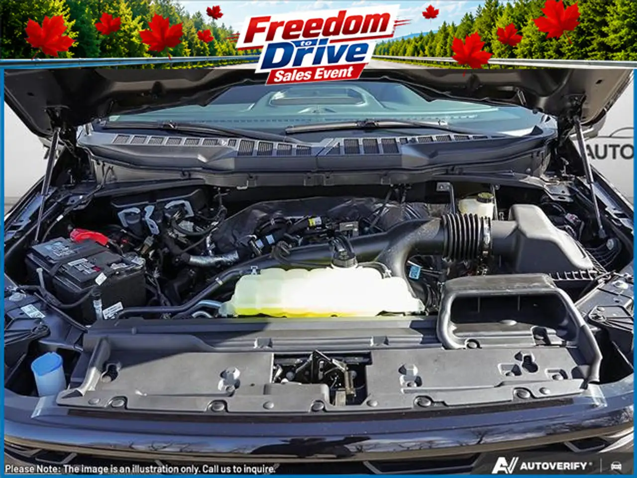 Ford F 150 photo Ford F 150