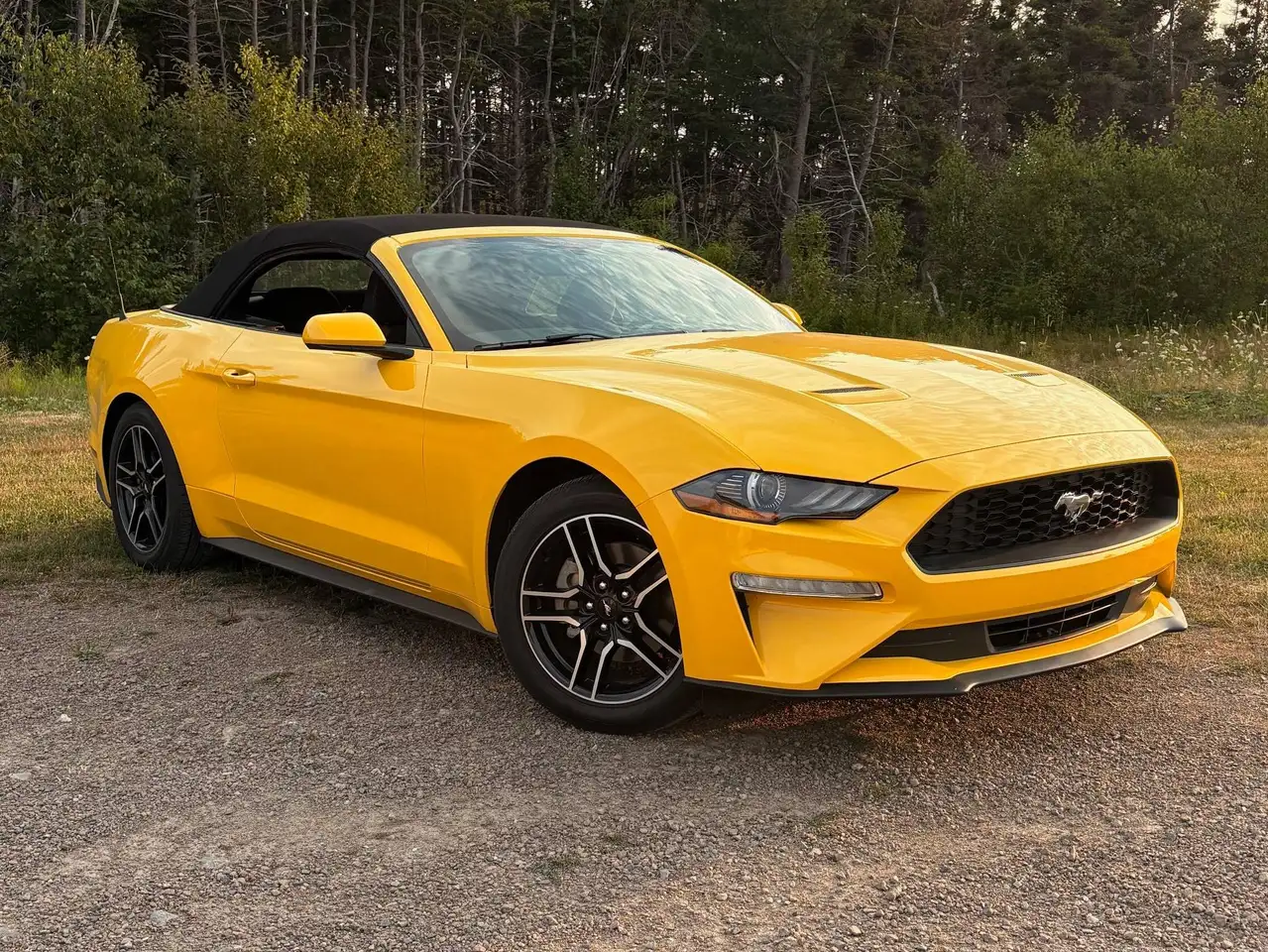 2018 Ford Mustang