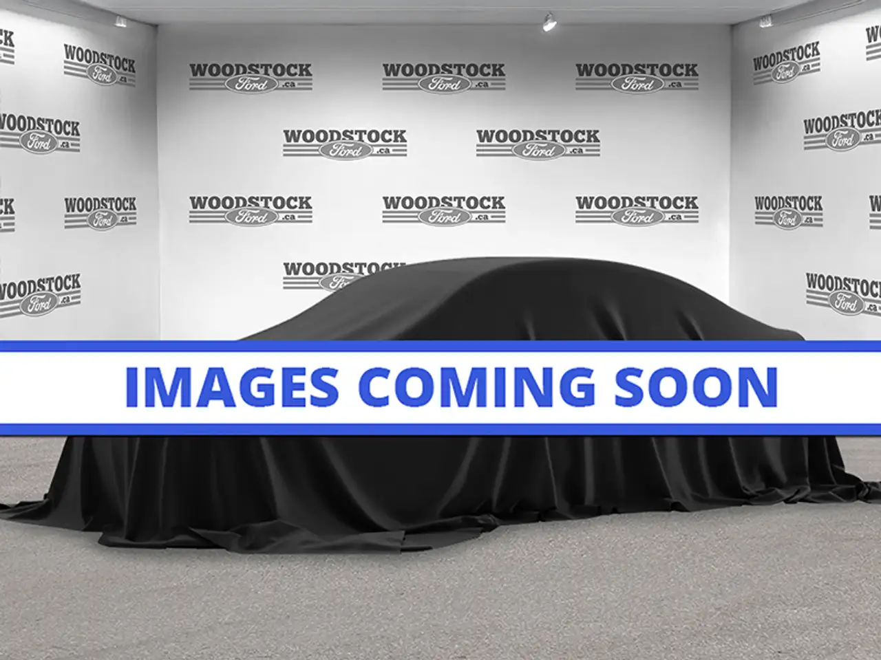 2019 Ford F 150