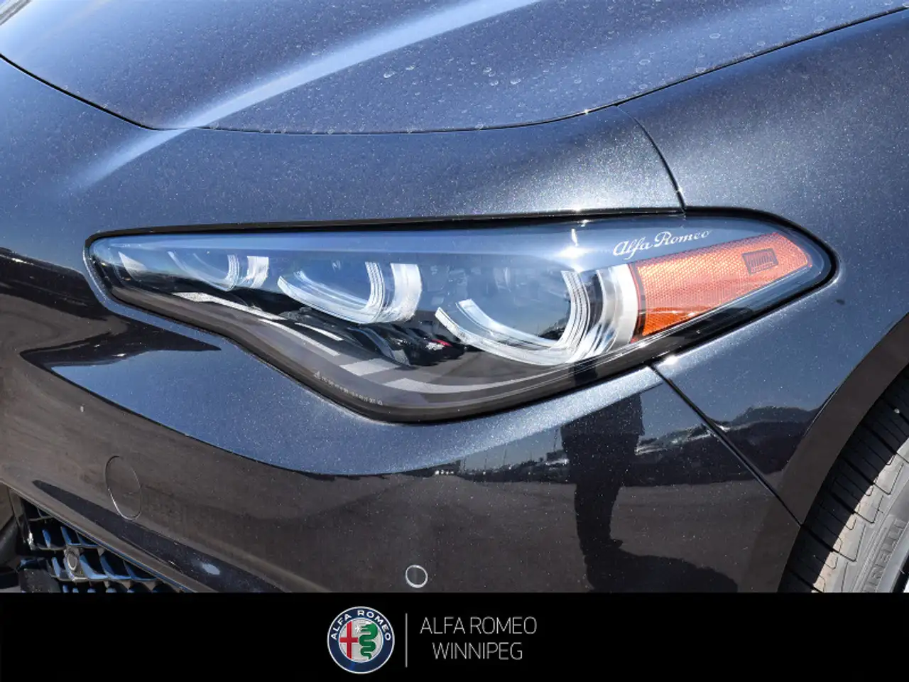 Alfa Romeo Giulia photo Alfa Romeo Giulia