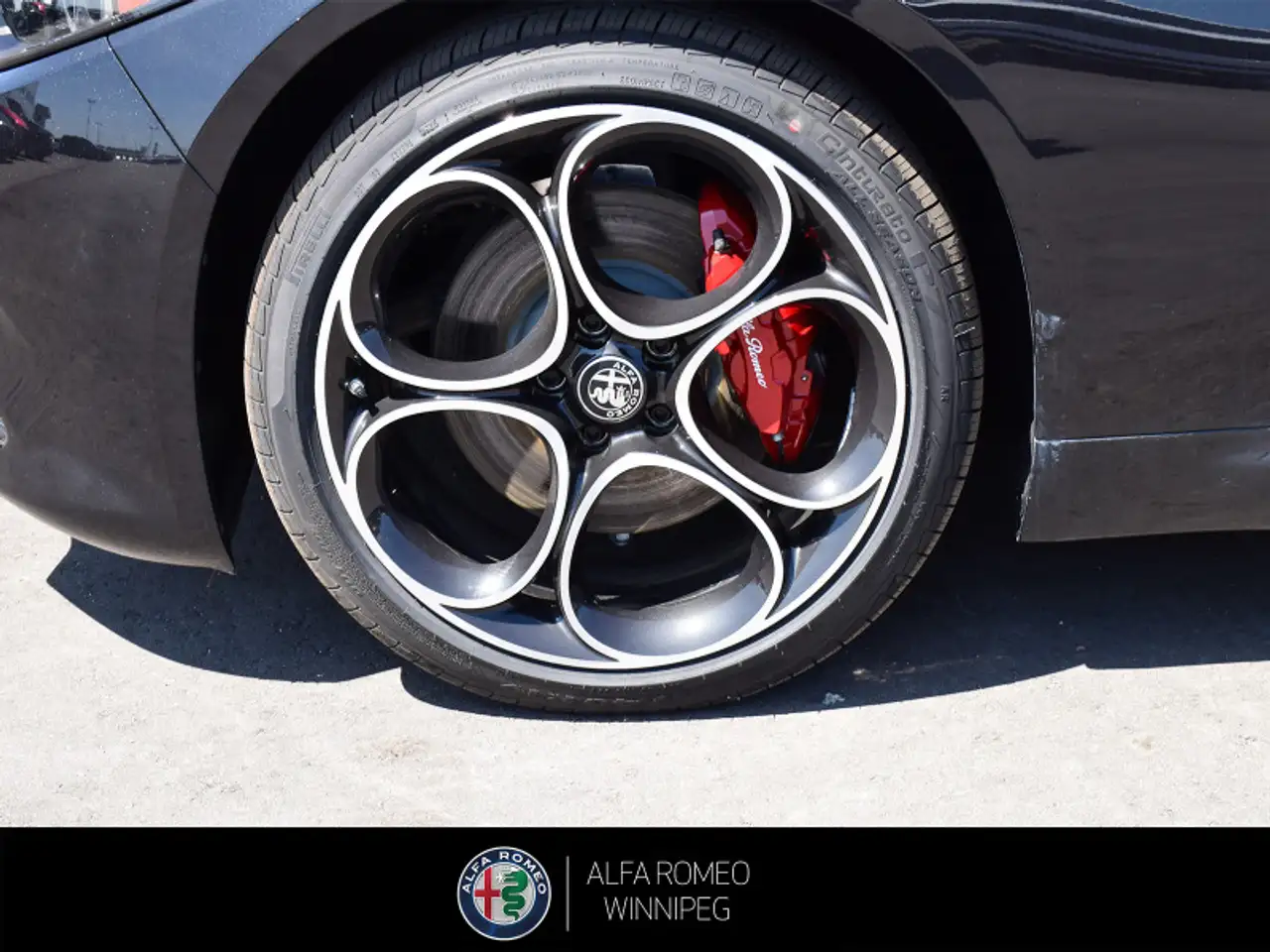 Alfa Romeo Giulia photo Alfa Romeo Giulia