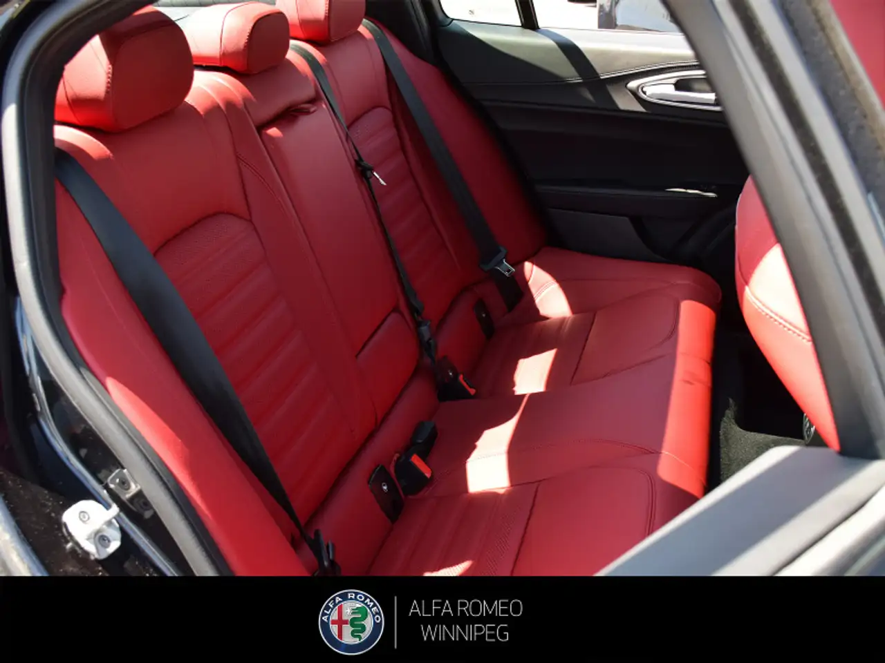 Alfa Romeo Giulia photo Alfa Romeo Giulia