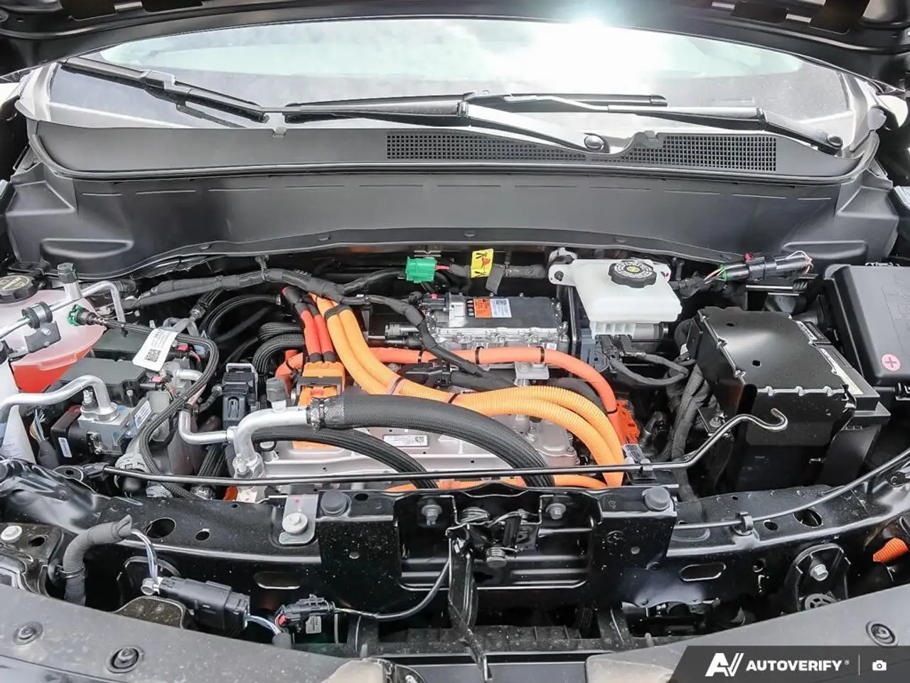 Chevrolet Bolt fotografie Chevrolet Bolt