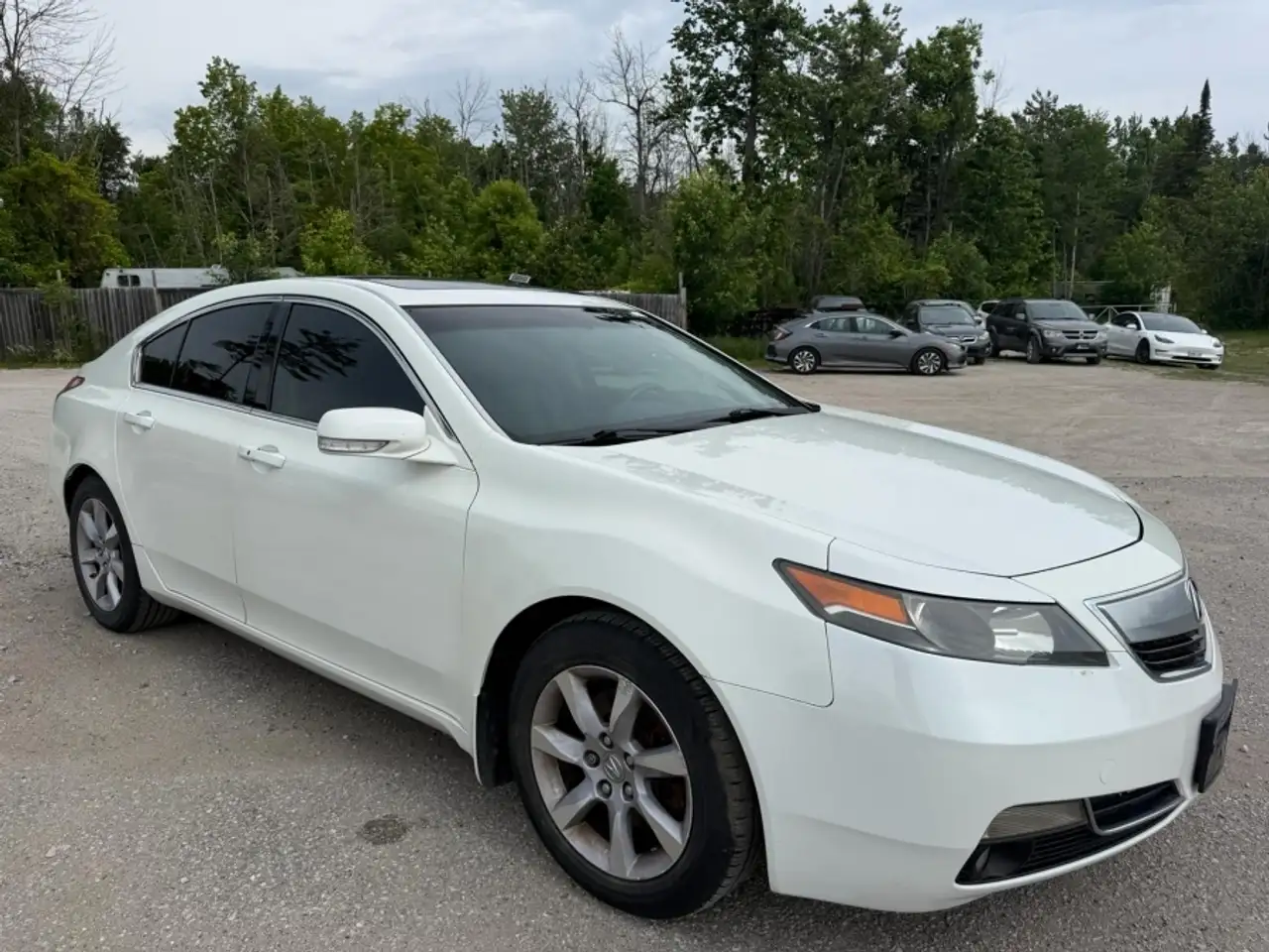 Acura TL fotografie Acura TL