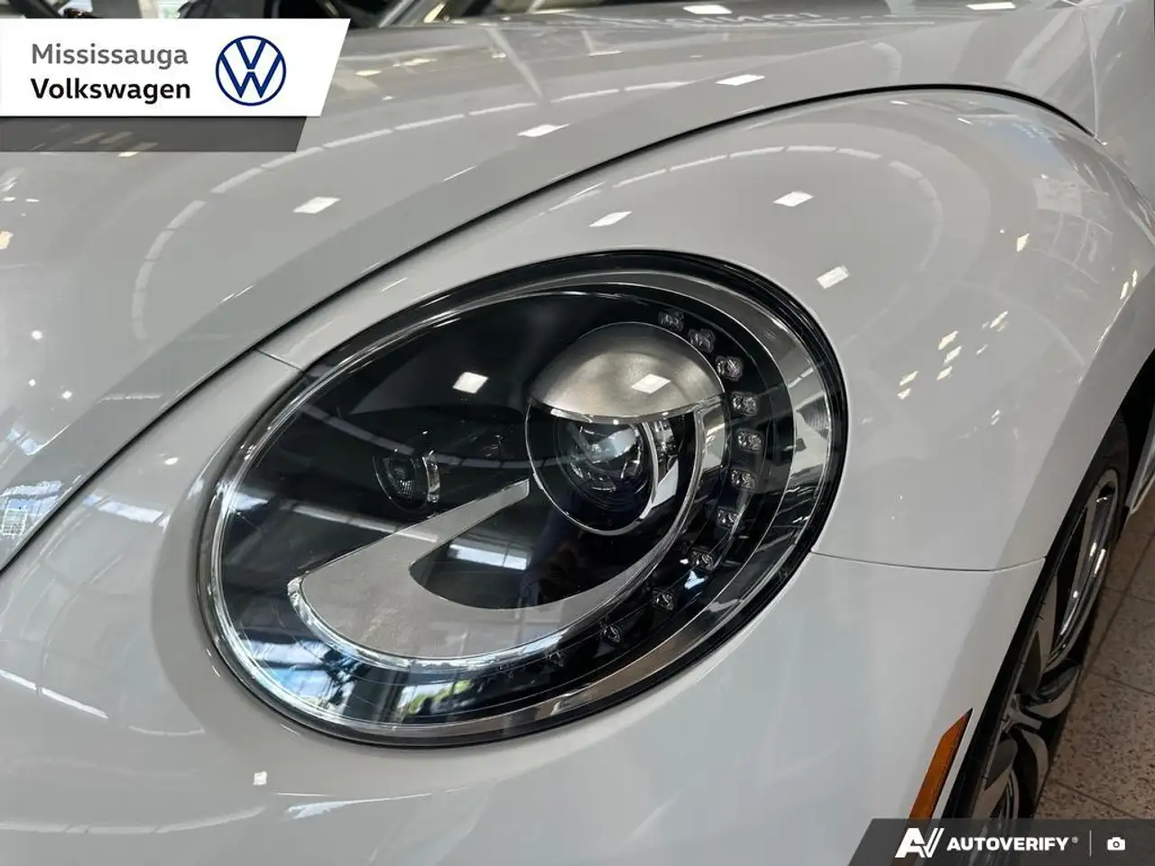 Volkswagen Beetle снимка Volkswagen Beetle
