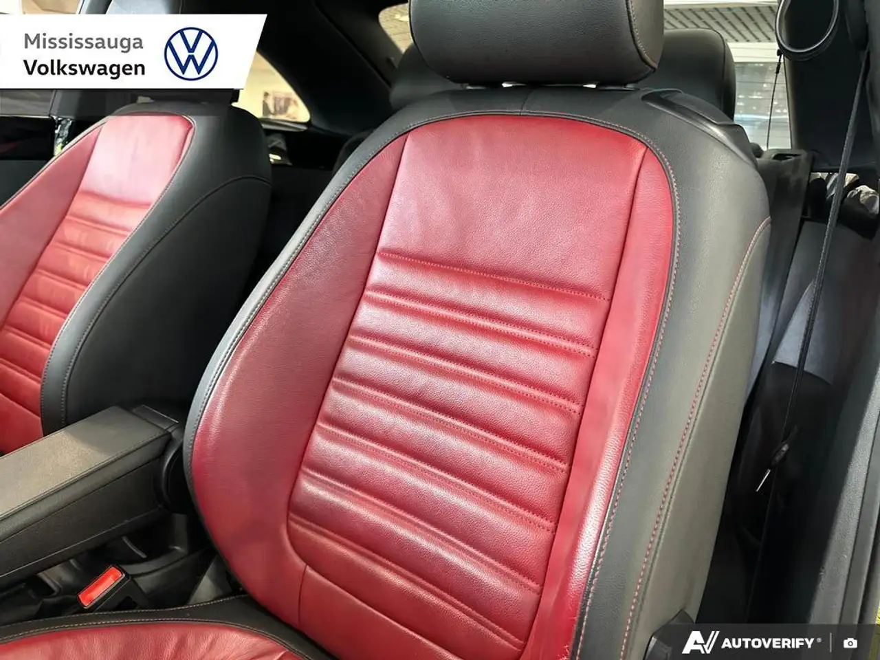 Volkswagen Beetle снимка Volkswagen Beetle