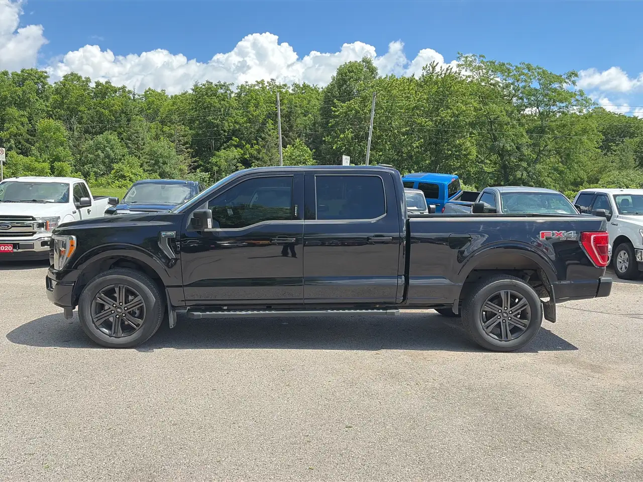 Ford F 150 снимка Ford F 150