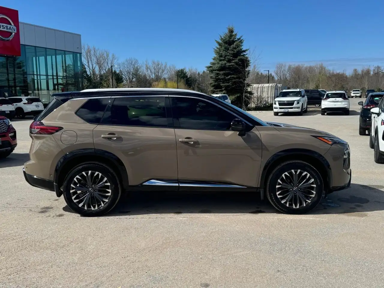 Nissan Rogue снимка Nissan Rogue