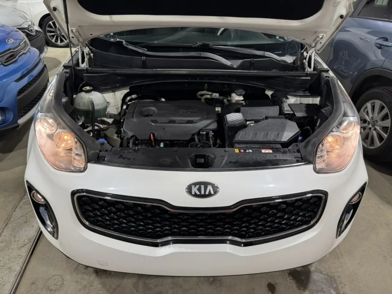 Kia Sportage fotografie Kia Sportage