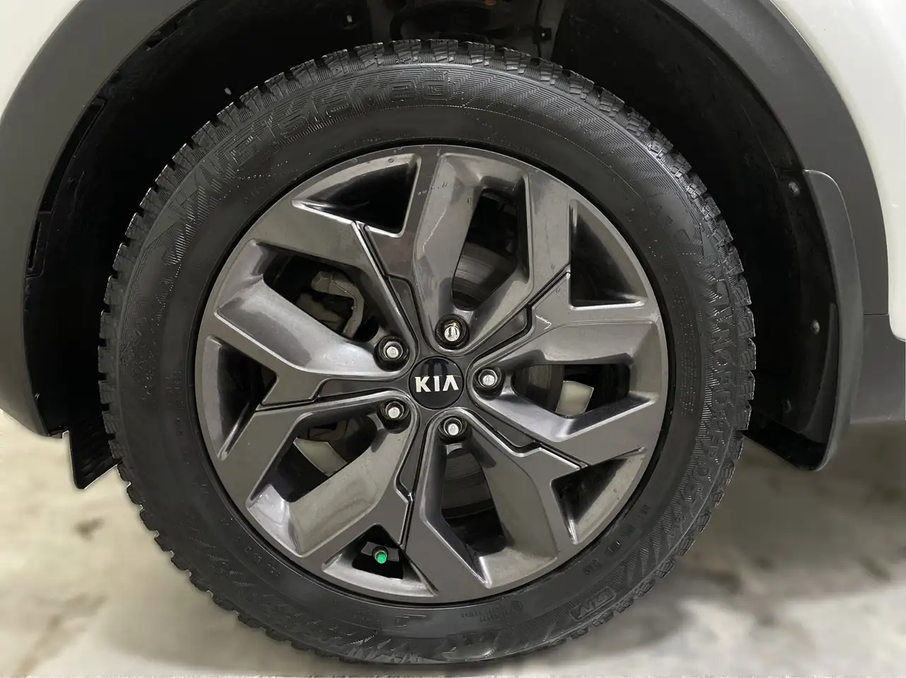 Kia Sportage photo Kia Sportage