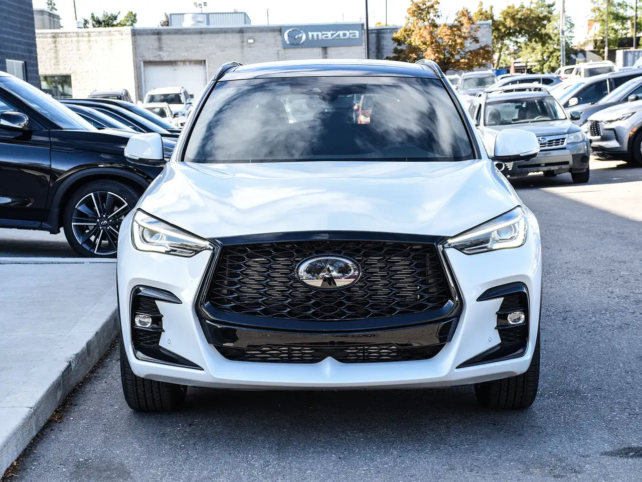 Infiniti QX50 снимка Infiniti QX50