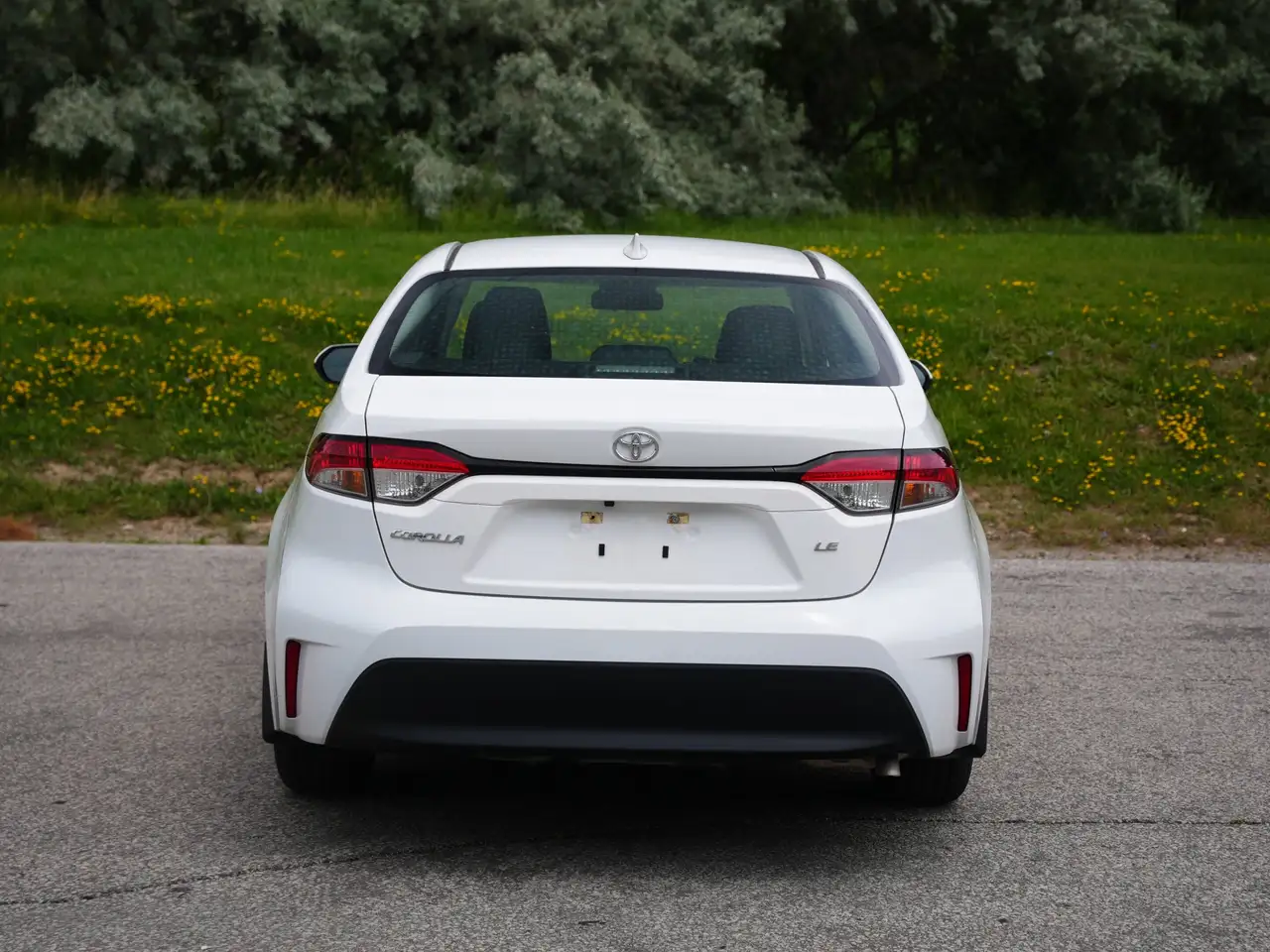 Toyota Corolla fotografie Toyota Corolla