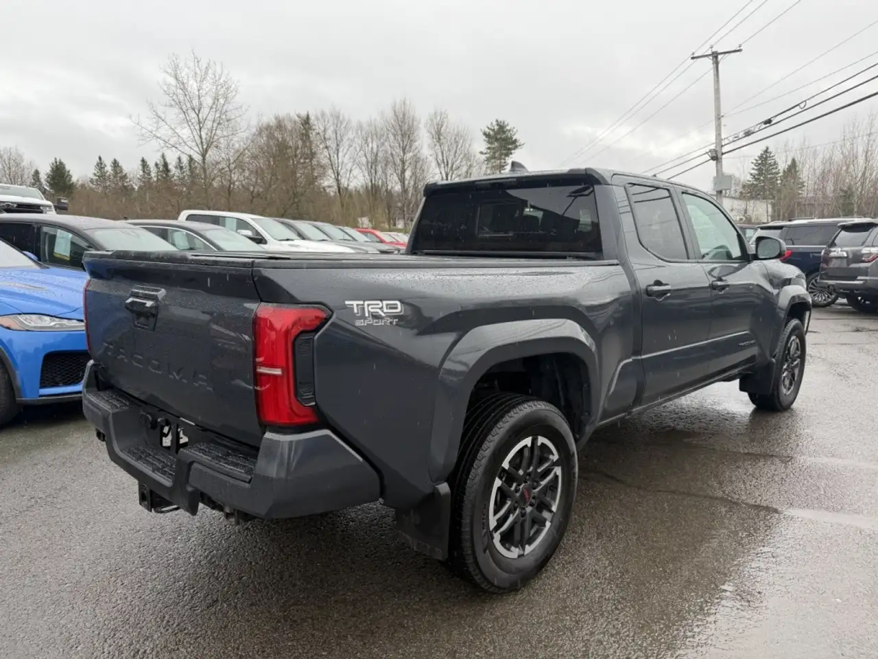 Toyota Tacoma fotografie Toyota Tacoma