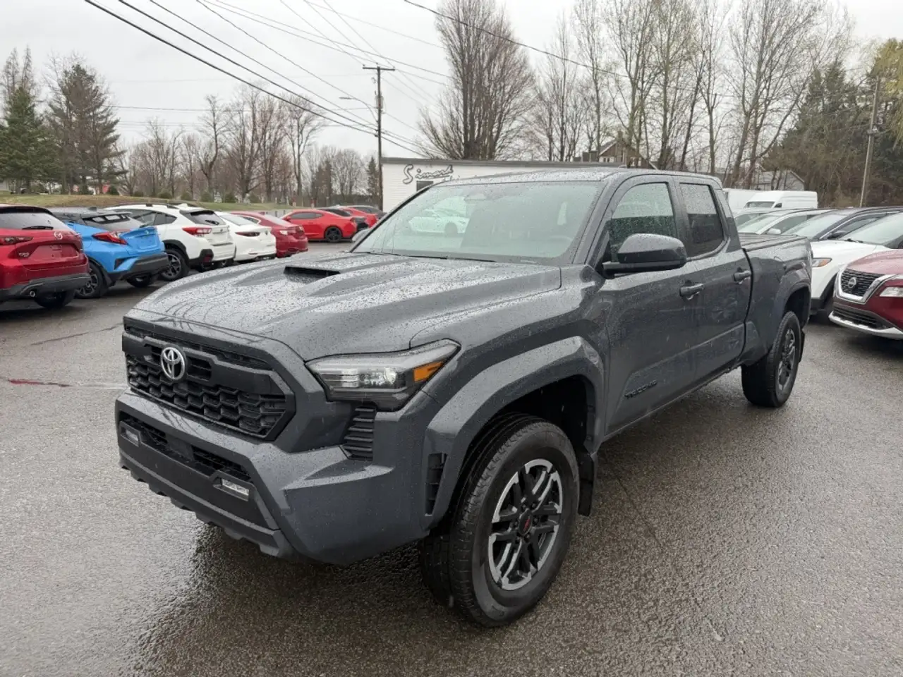 Toyota Tacoma fotografie Toyota Tacoma
