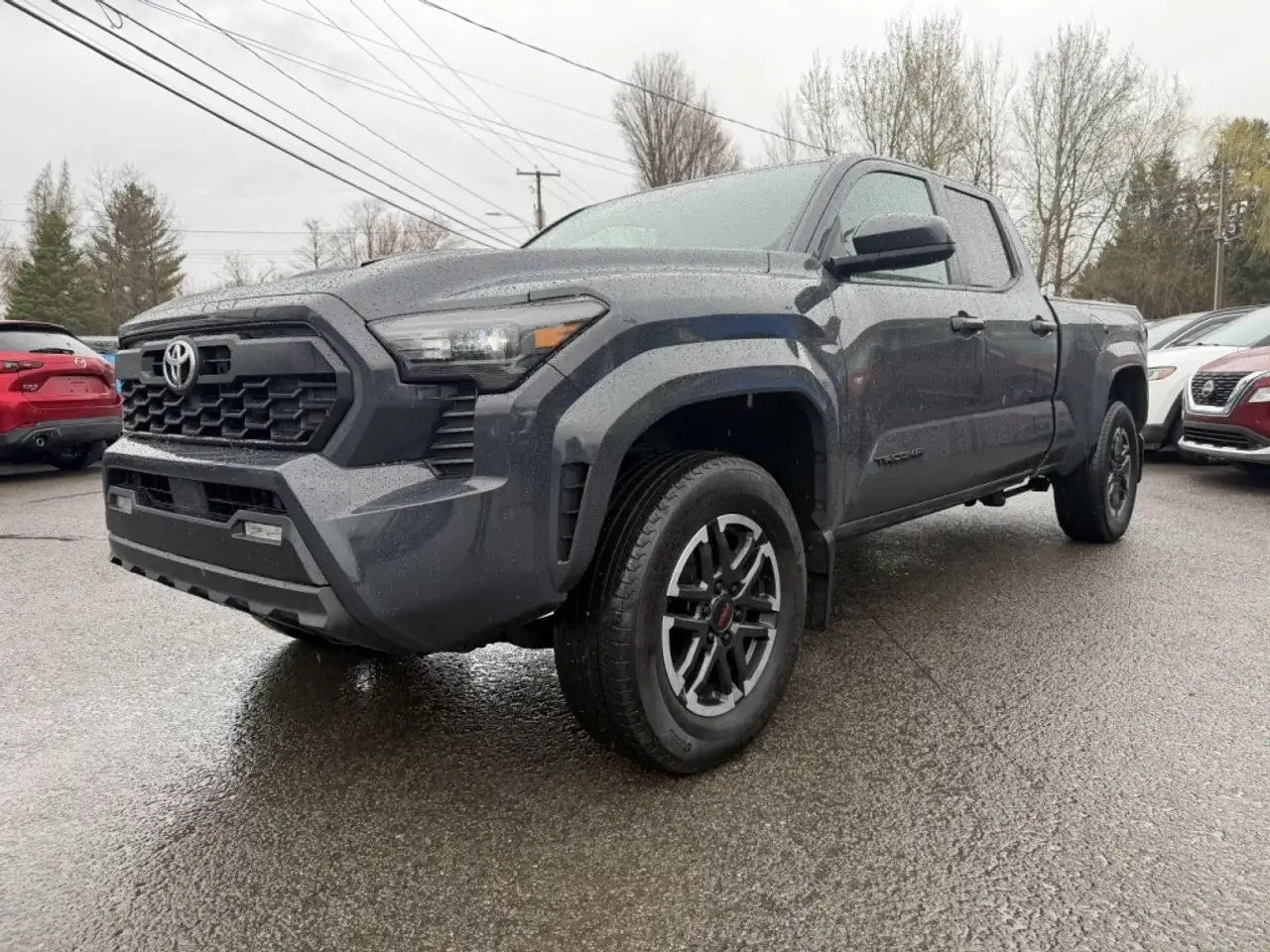 Toyota Tacoma fotografie Toyota Tacoma