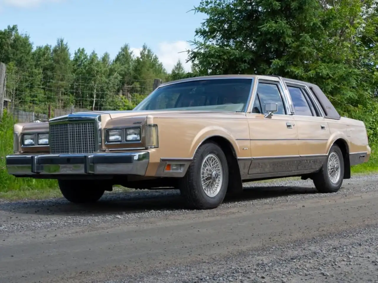 Lincoln Town Car снимка Lincoln Town Car