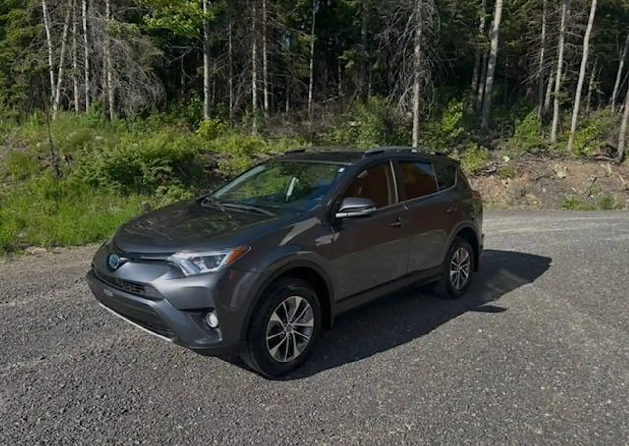 2018 Toyota RAV 4