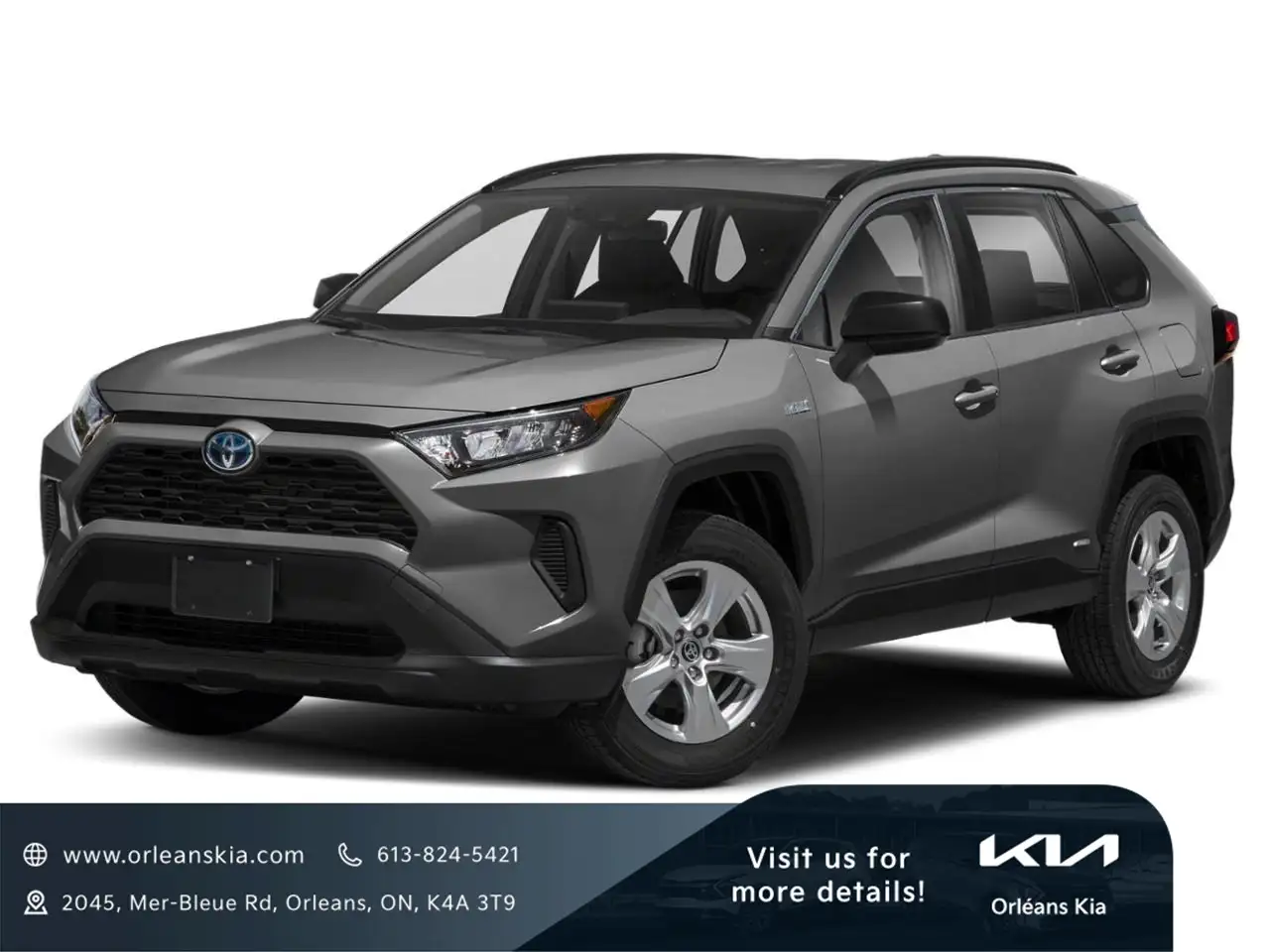 2019 Toyota RAV 4
