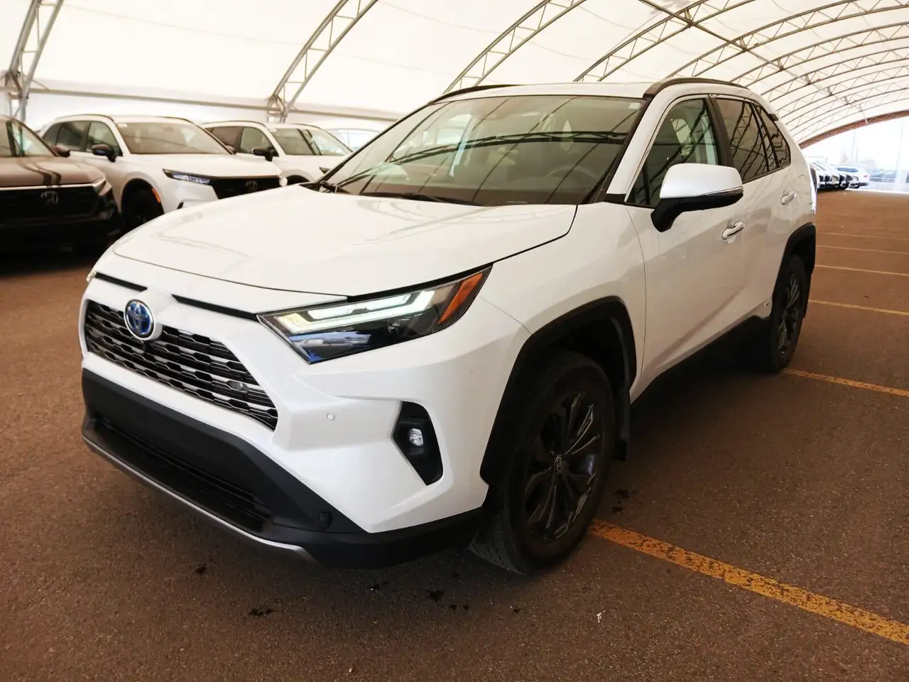 2023 Toyota RAV 4