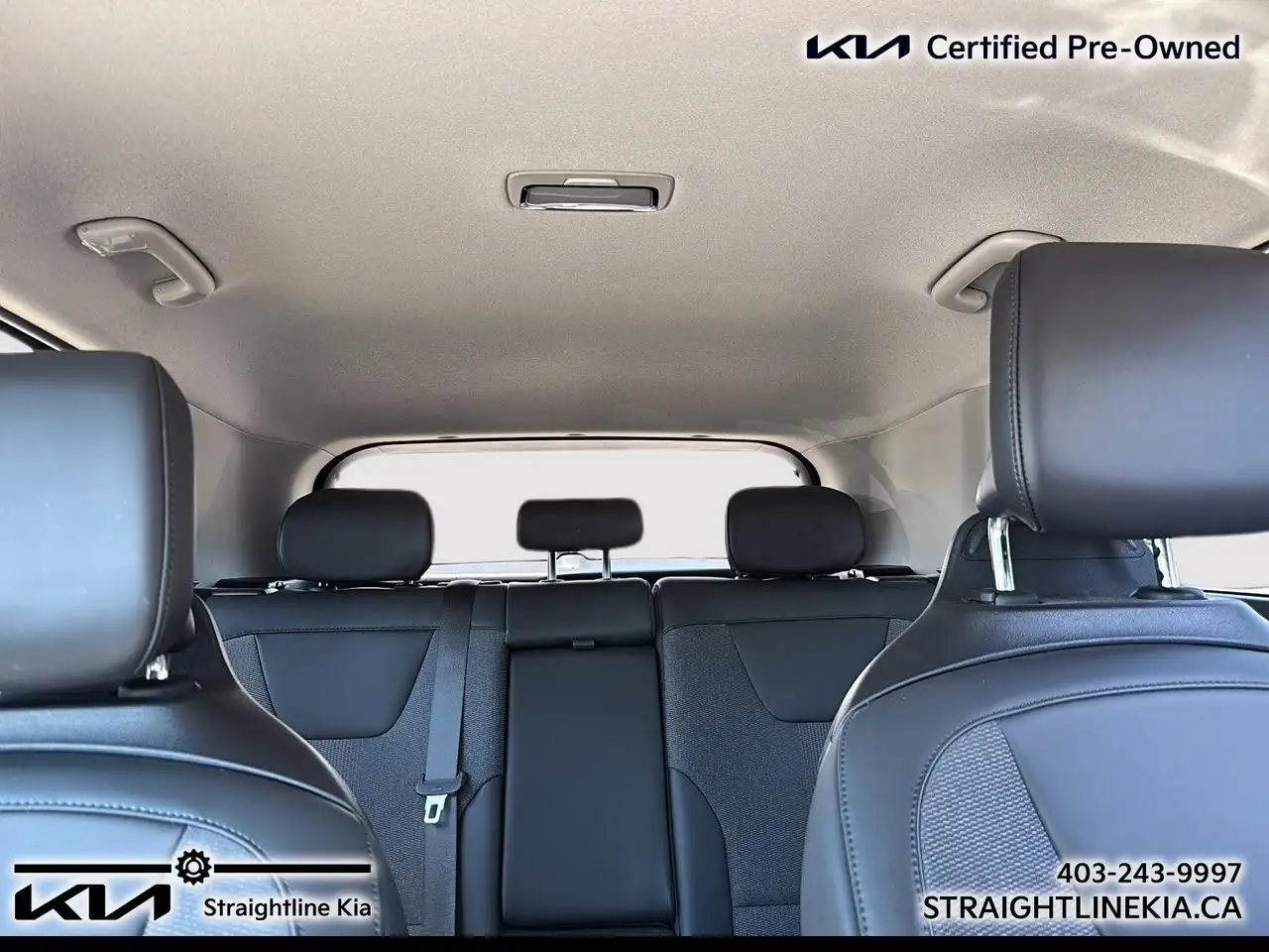 Kia Niro photo Kia Niro